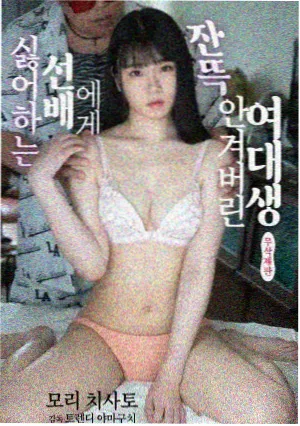 山月不知 古言权谋小说封面